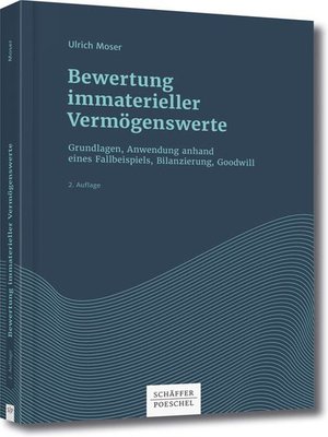 cover image of Bewertung immaterieller Vermögenswerte